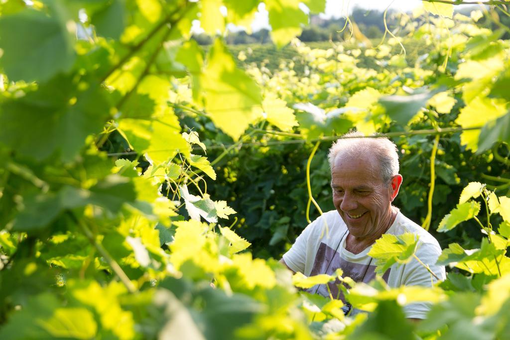 Villa Prosecco Tarzo エクステリア 写真